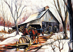 Horse pulling sap wagon to the sugarhouse